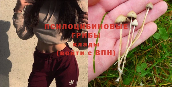 прущая мука Алзамай